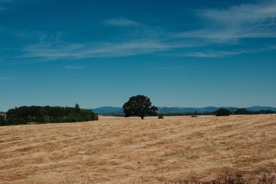 One morning on my commute